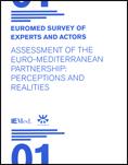 Euromed Survey of experts and actors. Assessment of the Euro-Mediterranean partnership: Perceptions and Realities