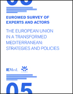 Euromed Survey of Experts and Actors V