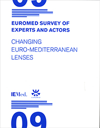 Euromed Survey of Experts and Actors IX. Changing Euro-Mediterranean Lenses